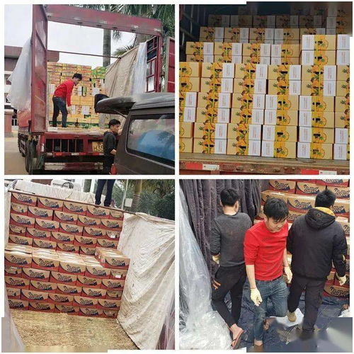 同舟共冀，共同戰(zhàn)“疫”——河北博泉集團捐贈32噸澄邁農(nóng)產(chǎn)品支援抗疫一線